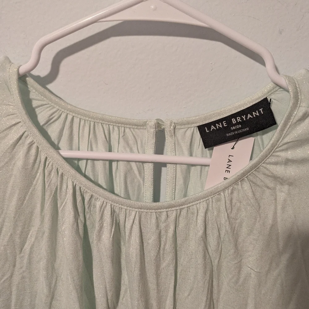 Lane Bryant Pale Green Sparkle Long Sleeve Smocked Cuff Top Size 18/20 or 2X